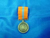 Mini Year Of Volunteer Medal